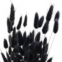 Artikel Hare&#39;s Tail Grass Lagurus Tørret Sort 60cm 50g