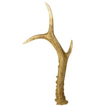 Artikel Hjortegevirdekoration kunstige gevirer borddekoration 28×14 cm