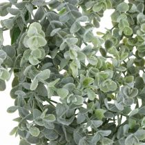 Bryllupsdekoration eukalyptus krans kunstig Ø25cm