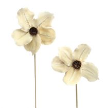 Artikel Træblomst som prop, bleget Ø9-12cm L45cm 15 stk.