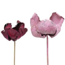 Artikel Træblomst, palmekopblanding pink-erika 25 stk