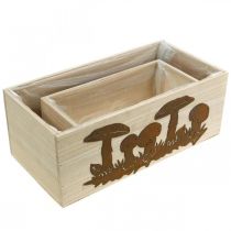 Artikel Plantekassesæt, trækasser med svampe, efterårsdekoration patina L40/30cm sæt med 2 stk.