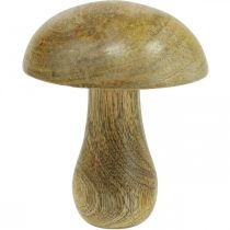 Træsvamp naturel, gul efterårsdeco træsvampe 12×10cm