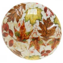 Artikel Træ champignon deco efterårsblade hvid, farverig efterårsdekoration Ø13cm H19cm