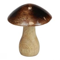 Træ svampe dekoration naturlig brun glans effekt Ø10cm H12cm