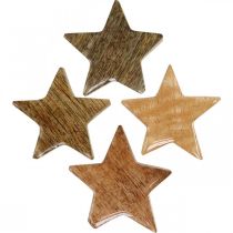 Artikel Træstjerner sprede dekoration stjerne julenatur glans H5cm 12 stk