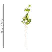 Artikel Humlegren 70cm grøn 2 stk kunstig plante