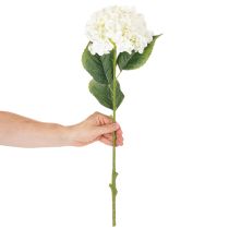 Artikel Kunstig hortensia med lang stilk, kunstig blomst, 60 cm