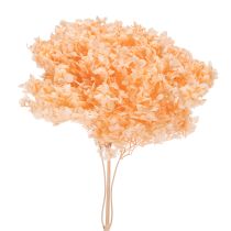 Artikel Tørrede hortensiablomsterbuket til elegante blomsterdekorationer derhjemme, 65 cm