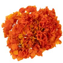 Artikel Hortensia, konserveret og farvet, stor blomst med lang stilk, 60 cm