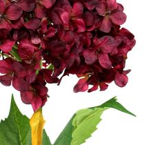 Artikel Hortensia kunstig mørkerød 80cm 1 stk