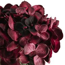 Artikel Kunstige hortensiablomster Bordeaux 52cm