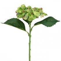 Kunstig hortensia, blomsterdekoration, silkeblomst grøn L44cm