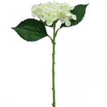 Hortensia, silkeblomst, kunstig blomst til bordpynt hvid, grøn L44cm