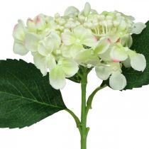 Hortensia, silkeblomst, kunstig blomst til bordpynt hvid, grøn L44cm