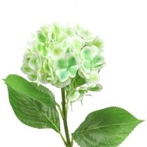 Hortensia kunstig grøn, hvid 68cm