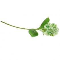 Artikel Hortensia kunstig grøn, hvid 68cm