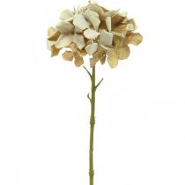 Hortensia kunstig blomst brun, hvid efterårsdekoration silkeblomst H32cm