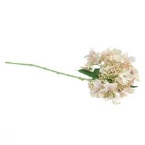 Artikel Hortensia kunstig cremehaveblomst med knopper 52cm