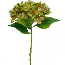 Artikel Hortensia kunstig Grøn, Gul kunstig blomst H35cm