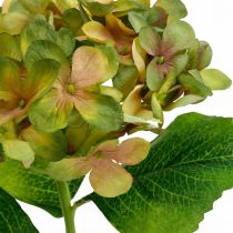 Artikel Hortensia kunstig Grøn, Gul kunstig blomst H35cm