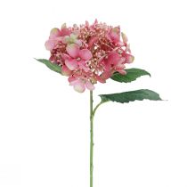 Artikel Hortensia kunstig pink og grøn haveblomst med knopper 52cm