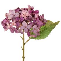 Artikel Kunstige hortensiaer lilla kunstige blomster hortensia 34 cm 2 stk.