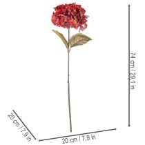 Artikel Kunstig hortensiablomstrende gren, stor blomst, 74 cm