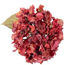 Artikel Kunstig hortensiablomstrende gren, stor blomst, 74 cm