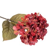 Artikel Kunstig hortensiablomstrende gren, stor blomst, 74 cm