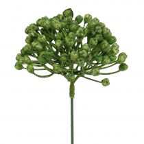 Artikel Hortensia knopp pick 22cm grøn 12 stk