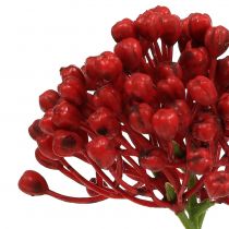 Artikel Hortensia knopp pick 22cm rød 12stk