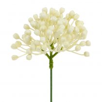 Artikel Hortensia knopp pick 22cm creme 12stk