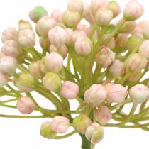 Artikel Hortensia knopp pick 21cm pink 12 stk