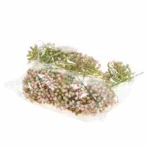 Artikel Hortensia knopp pick 21cm pink 12 stk