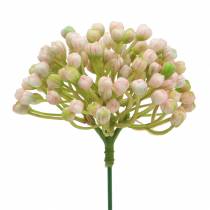 Artikel Hortensia knopp pick 21cm pink 12 stk