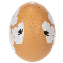 Artikel Påskeægophæng, forår, påske, rigtige kyllingæg, naturlige, 6 cm, 6 stk.