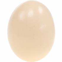 Artikel Kyllingeægcreme Påskepynt Blæste æg 10 stk