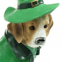 Artikel Beagle i hat St. Patrick&#39;s Day Hund i jakkesæt Havedekor Hund H24,5 cm