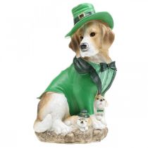Artikel Beagle i hat St. Patrick's Day Hund i jakkesæt Havedekor Hund H24,5 cm