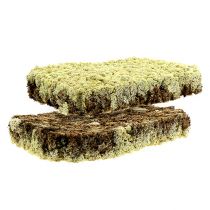 Artikel Moss Island mos Finsk Extra Polar 2 paneler