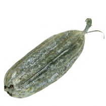 Loofah frugt grøn 14cm 10stk