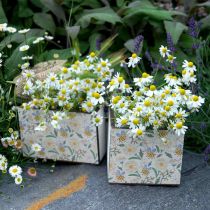 Æsker til plantning, trædekoration, dekorativ kasse med bier, forårsdekoration, shabby chic L15/12cm H10cm sæt af 2