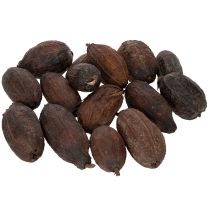Artikel Kakaofrugt, naturlig, 10-18 cm, 15 stk.