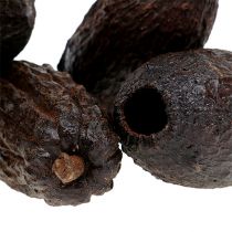 Artikel Kakaofrugt naturel 10-18cm 15 stk