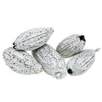 Kakaofrugter vasket hvid 15stk