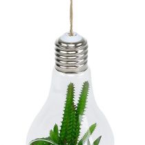 Artikel Kaktus i glas til at hænge 21 cm