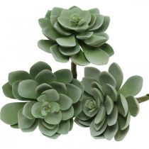 Artikel Kunstige sukkulenter deco kunstige planter grønne 11×8,5cm 3 stk.