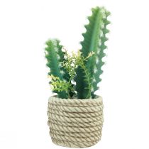 Artikel Kaktus i potte kunstig kaktus assorteret 28cm 2stk