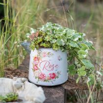 Metalkande, plantekasse, metalkasse med rosenmotiv H12cm Ø10,5c